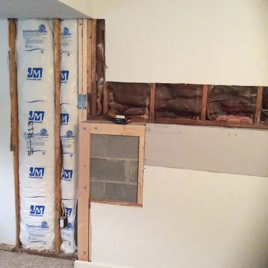 Wall insulation replacement during Odor Removal & Deodorization in Wyoming